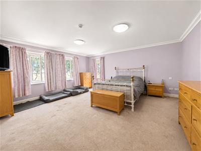 Picture 17